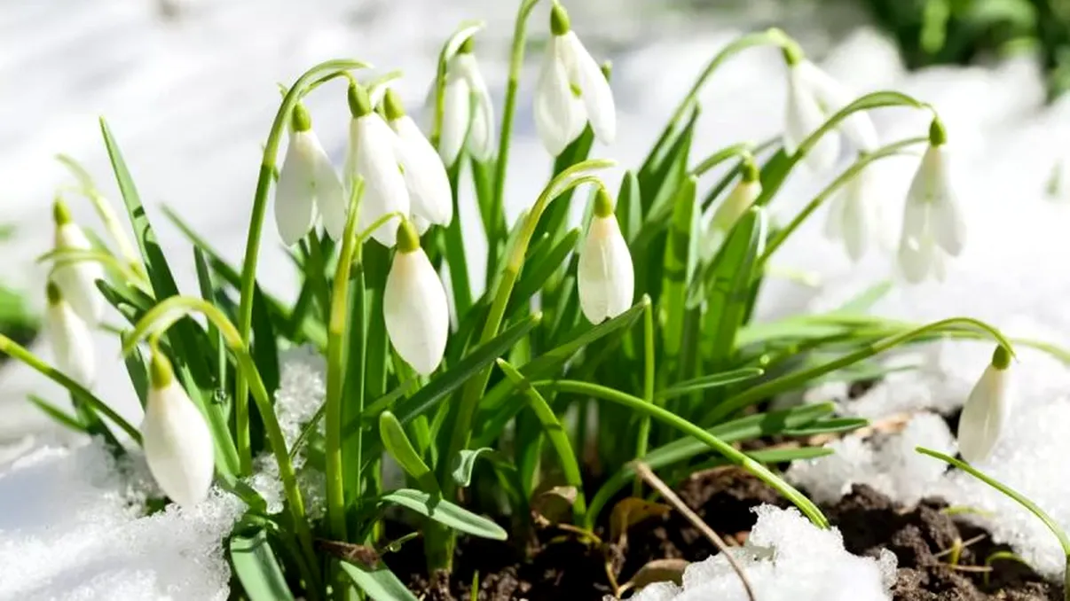 Se inversează anotimpurile, în România. Primăvara devine iarnă, ce anunţă meteorologii pentru martie şi aprilie