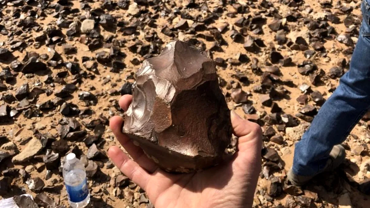 Artefacte vechi de 1,5 milioane de ani, descoperite în deșertul din Irak