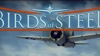 Birds of Steel - Un nou simulator de aviatie
