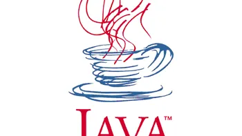 Platforma Java este cea mai folosita pentru raspandirea virusilor