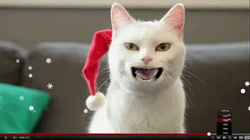 Ninge, ninge... Pe YouTube...