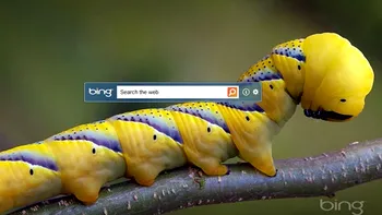 Microsoft Bing Search pe desktop, dar cu generozitate