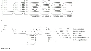 Un hacker, membru LulzSec, si-a recunoscut vinovatia intr-un proces