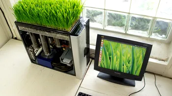 Computerul transformat in gradina botanica