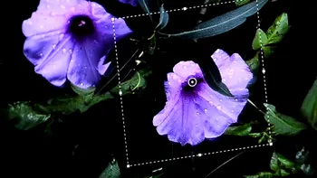 Urmatorul Photoshop va putea remedia focalizarea gresita a unei imagini [VIDEO]
