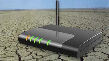 Un experiment demonstrează că plantele nu cresc lângă un router WiFi