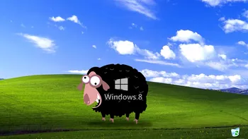 Windows 8, tot oaia neagră a Microsoft - utilizatorii Windows XP preferă Windows 7