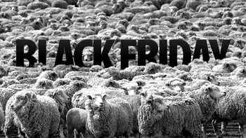 Black Friday 2014 - Sfaturi despre ce să eviți, ce să faci și ce să vânezi