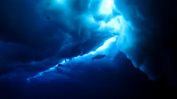 O lume dispărută, descoperită sub gheața Antarcticii
