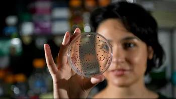 Bacteriile care ne-au influențat genele pe parcursul timpului