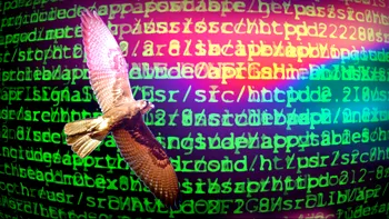 Arabii au prima grupare de spionaj cibernetic: Ce date are Kaspersky despre Desert Falcons