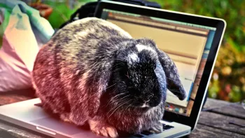 Reduceri de Paște. Promoții la televizoare, laptopuri și telefoane