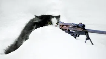 Cele mai nebunești planuri din Războiul Rece: de la animale spion la bombardarea Lunii
