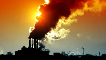 Există o soluție împotriva încălzirii globale și e mai simplă decât credeai