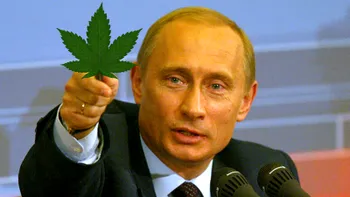 De ce interzic rușii accesul pe o pagină Wikipedia
