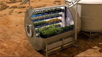 Astronauții renunță la conserve pentru salată făcută de ei