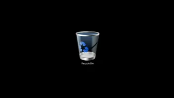 Cum ştergi vechiul Windows după ce ai trecut la Windows 10?