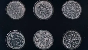 Lacrimile fotografiate sub microscop ne arată emoția în imagini