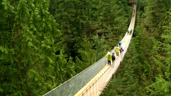 Un pod se prăbușește sub greutatea excursioniștilor, iar totul este surprins pe cameră