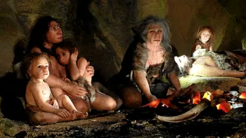 Un os descoperit recent ar putea reinventa tot ce știm despre teoria evoluționistă