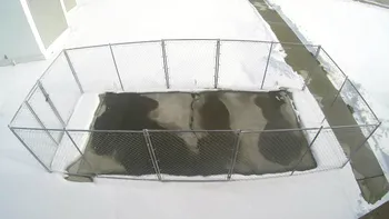 Această metodă unică de deszăpezire ne va face iernile mai blânde
