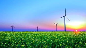 Un covor de iarbă din plastic ar putea da energie electrică cu ajutorul vântului