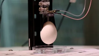Acesta este primul robot care poate manevra obiecte fragile