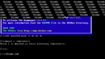 Simpli și eleganți. Vechii viruși pentru MS-DOS au ajuns într-un muzeu al virușilor