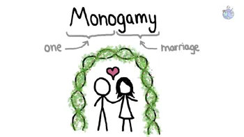 Care este motivul pentru care oamenii au devenit monogami