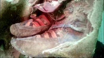 Noua conspirație a internetului este această mumie cu adidași