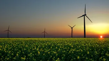 Serverele Google vor funcționa cu energie electrică de la Enel