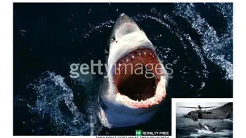 Google e responsabilă de piraterie, conform Getty Images