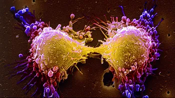 Cercetătorii lucrează la un vaccin care ne-ar face imuni la toate tipurile de cancer