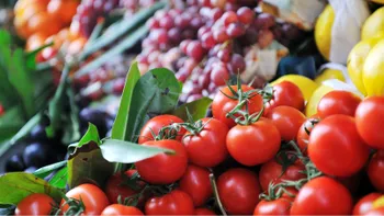Dieta omnivoră oferă avantaje importante față de cea vegană
