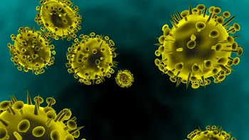 Cercetătorii au descoperit cel mai vechi virus