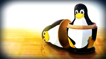 Zece lucruri mai puțin știute despre Linux