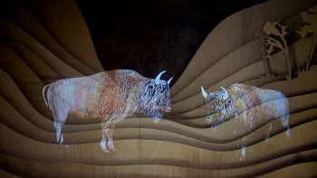 Hologramele cu zimbri de la Armeniș îți arată de ce e importantă această specie