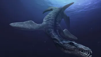 Google aduce dinozaurii la viață și te lasă să ”înoți” printre ei [VIDEO]