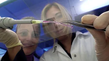 Vasele de sânge artificiale pot crește odată cu pacientul