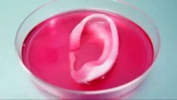 Prima bio-imprimantă 3D din România va printa organe și va salva vieți