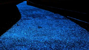 Cum arată cea mai frumoasă pistă de biciclete din lume