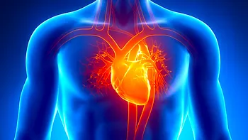 Primele valve cardiace regenerabile au început să bată în piepturile a trei copii