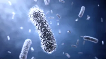 Microbii care se hrănesc cu meteoriți ar putea explica cum a apărut viața pe Pământ