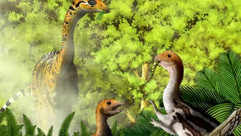 Unii dinozauri și-au pierdut dinții la maturitate, dar nu de bătrânețe