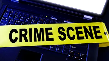 Au obținut șase milioane de dolari din pornografie piratată