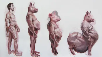 A fost creat primul embrion hibrid de om-porc