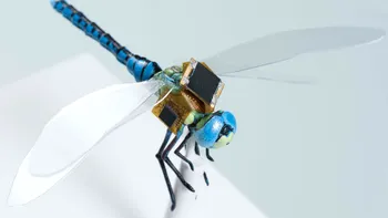 Libelulele pot fi transformate în drone cu ajutorul acestor dispozitive