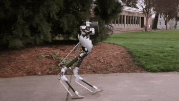 Cassie, robotul biped, poate imita cu ușurință mersul omului [VIDEO]