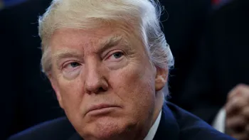 Pe acest site îl poți lovi pe Donald Trump folosindu-te de pisici