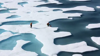 Oceanul Arctic devine treptat verde, iar acum aflăm și de ce
